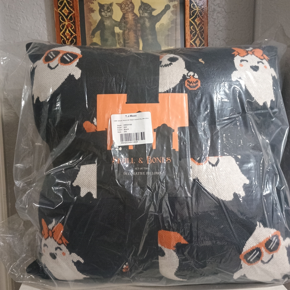SET 2) 20" Skull & Bones Halloween Ghost Pillow